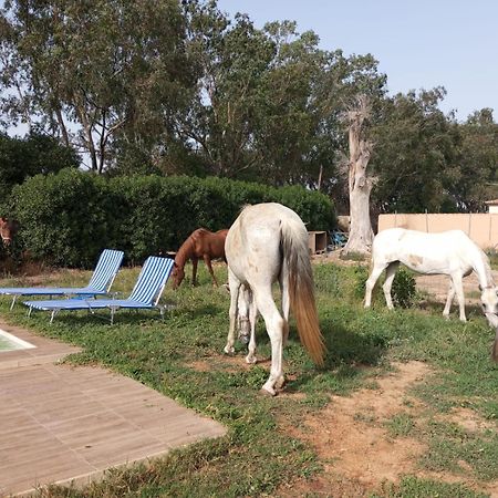 Centro Ecuestre Girasol Villa Chiclana de la Frontera Eksteriør bilde