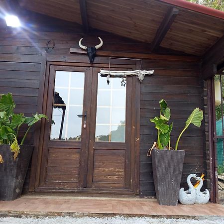 Centro Ecuestre Girasol Villa Chiclana de la Frontera Eksteriør bilde